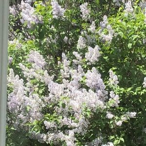 Meet your Posher, Robin